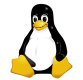 linux